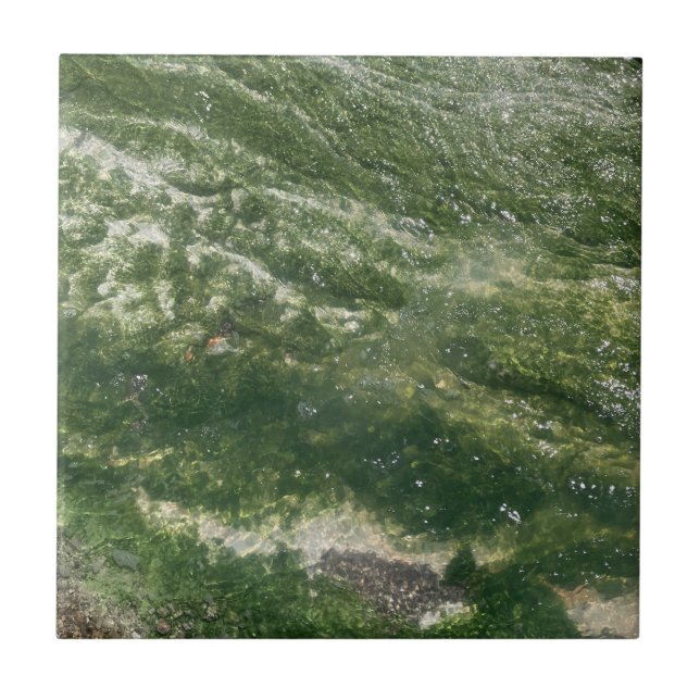 Dekorativ panel för grönt kakelplatta (Framsidan)