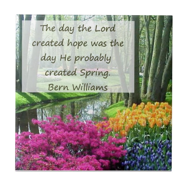 Dekorativ panel för vår och hopp kakelplatta (Framsidan)