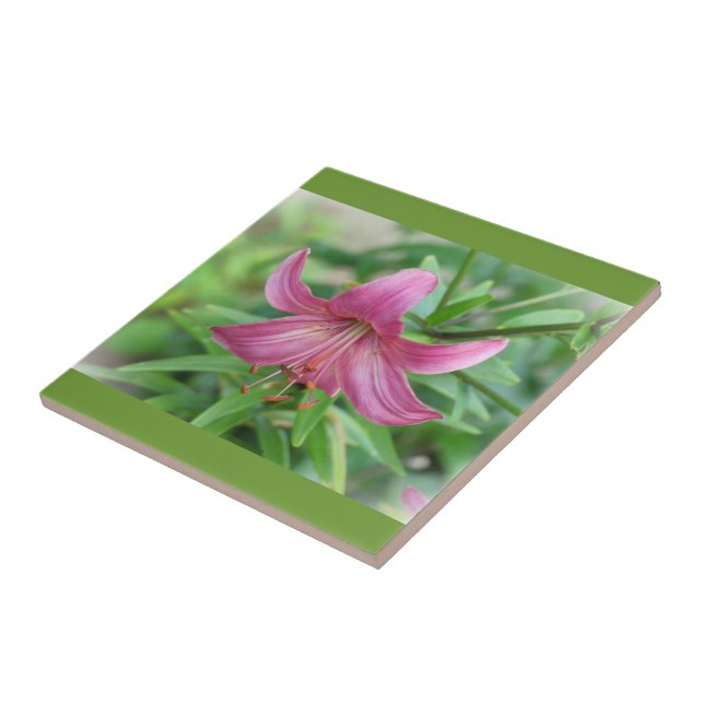 Dekorativ Rosa Lily-platta Kakelplatta (Sidan)