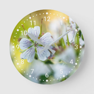 Dekorativ vit pelargoniumblomma mjuk bokeh foto rund klocka