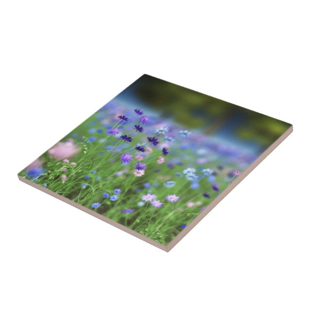 Dekorativa blåklintblått belägger med tegel kakelplatta (Sidan)