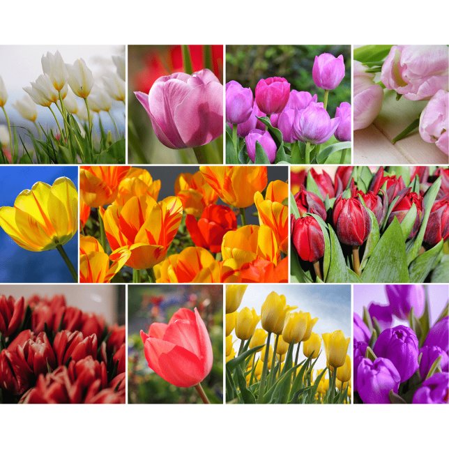 Dekorativa blommor glasskärbräda (Skapare uppladdad)