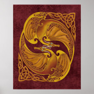 Dekorativa Celtic drakar Poster