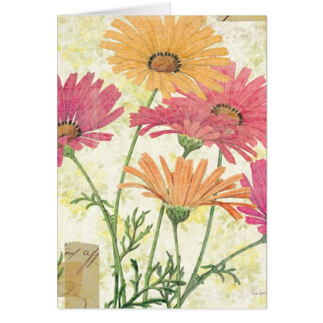 Dekorativa daisy hälsningskort (Framsidan)