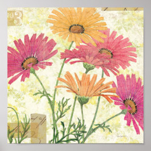 Dekorativa Daisy Poster