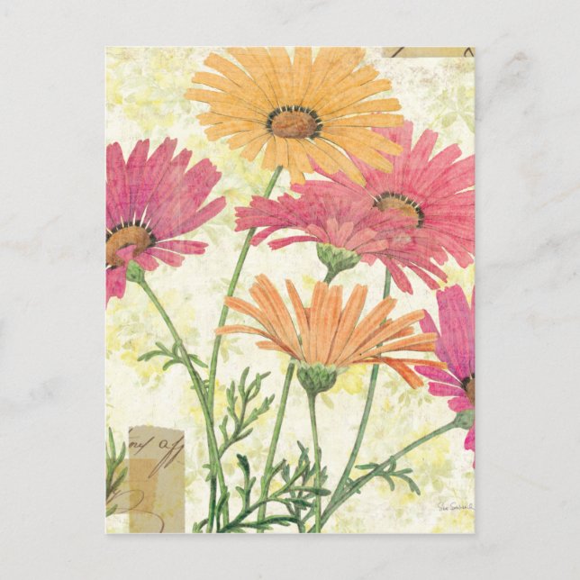 Dekorativa Daisy Vykort (Framsida)