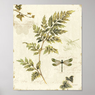 Dekorativa Ferns och en Dragonfly Poster