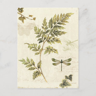 Dekorativa Ferns och en Dragonfly Vykort