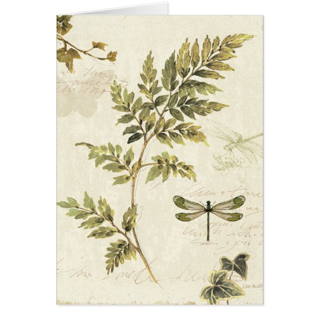 Dekorativa Ferns och en slända Hälsningskort (Framsidan)