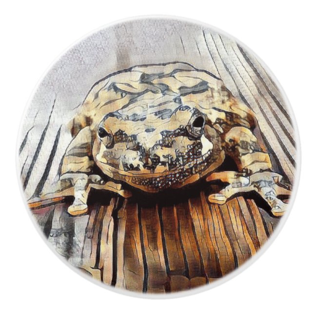 Dekorativa keramiska knoppar för konstnärlig (Framsidan)