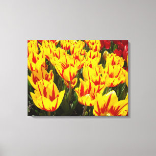 Dekorativa konsttryck Gula Tulpan Blommor Röda Canvastryck
