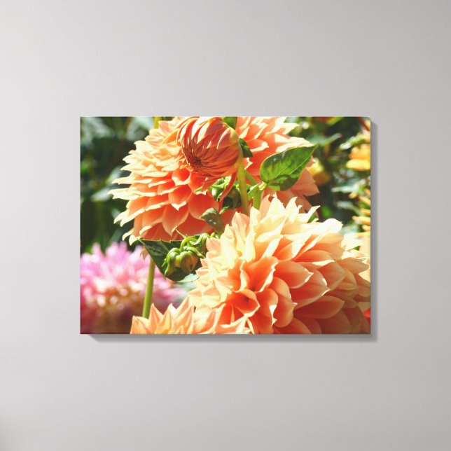 Dekorativa konsttryck på canvas Orange Dahlias (Framsida)