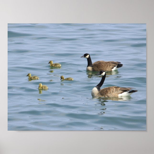 Dekorativa Poster (Framsidan)