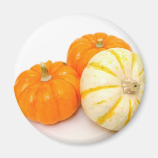 Dekorativa pumpor magnet