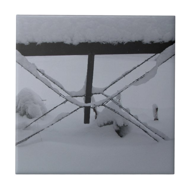 dekorativt belägga med tegel kakelplatta (Framsidan)