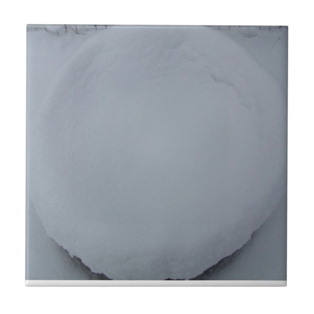 DEKORATIVT BELÄGGA MED TEGEL KAKELPLATTA (Framsidan)