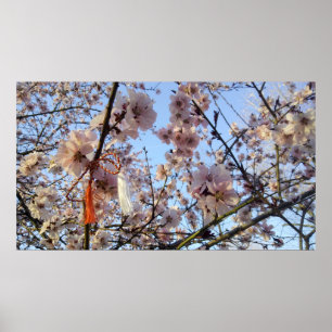 Dekorativt Cherry Träd med Martisor Poster