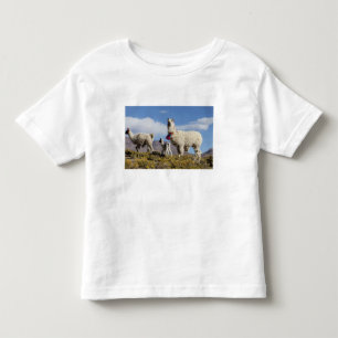 Dekorerad lamahjord i Puna, Anderna 3 T-shirt