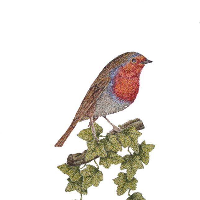 dekorerat julgran robin ivy löv säsong presentpapper (Skapare uppladdad)