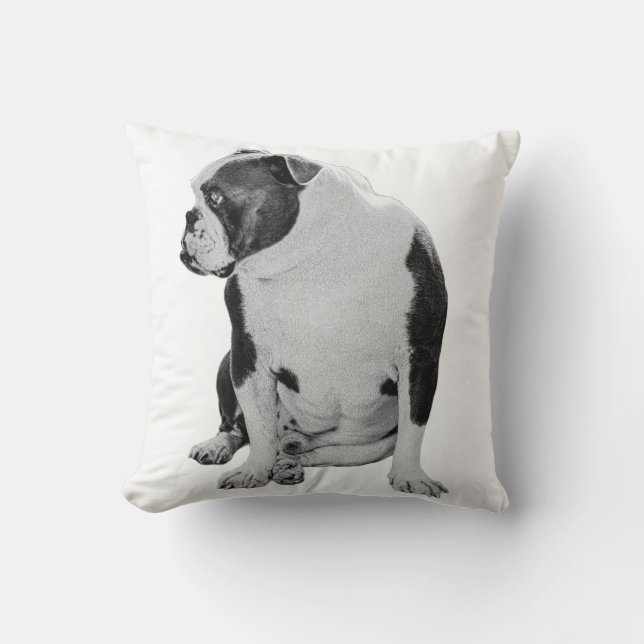 Dekorfärg på jordsidan kudde (Framsida)