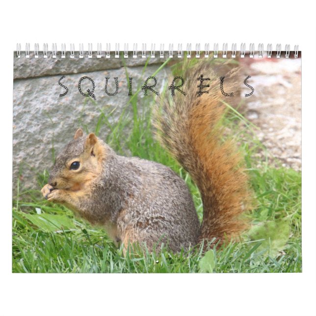 Dekorkalender Kalender (Omslag)