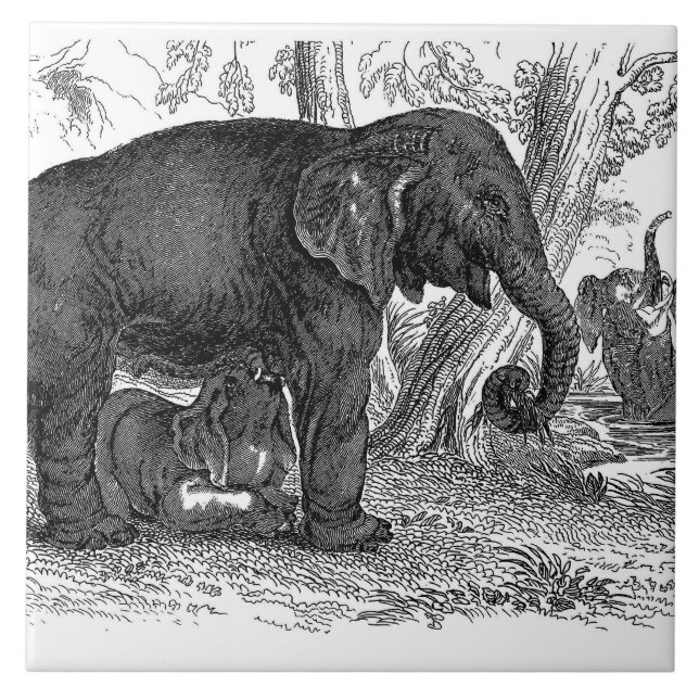 Dekorpanel för vintagens elefantkontor kakelplatta (Framsidan)