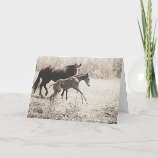 Dekorspel Kort (Framsida)