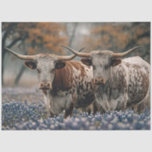 Dekoupage Texas Longhorns Fält Bluebonnet Blommor