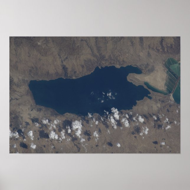 Del av Döda havet Poster (Framsidan)