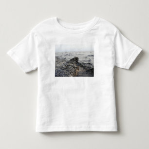 Del av en oljebälte i bukten av Mexico Tee Shirt