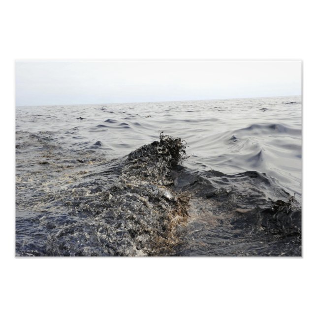 Del av ett oljebälte i Mexikanska Bukt Fototryck (Framsidan)