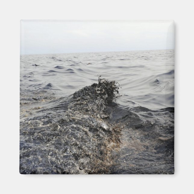 Del av ett oljebälte i Mexikanska Bukt Magnet (Framsidan)