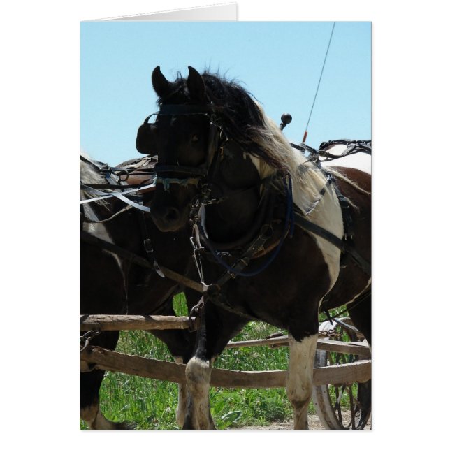 Del av ett team hälsningskort (Framsidan)