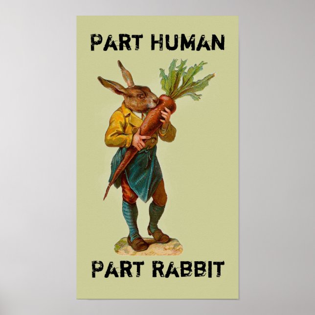 Del Human, Del Rabbit Poster (Framsidan)