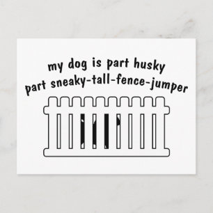 Del Husky Part Fence-Jumper Vykort