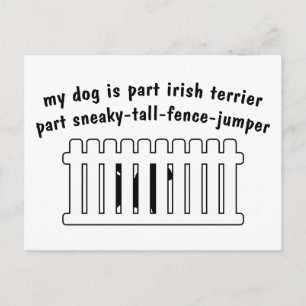 Del Irish Terrier Part Fence-Jumper Vykort