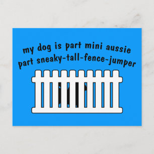 Del Mini Aussie Part Fence-Jumper Vykort