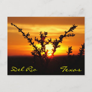 Del Rio Texas Brush Sunset Postcard Vykort