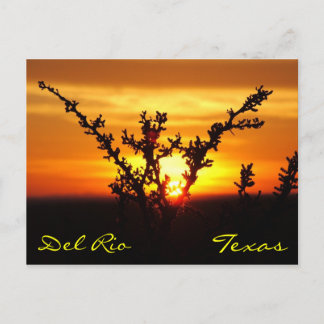 Del Rio Texas Brush Sunset Postcard Vykort
