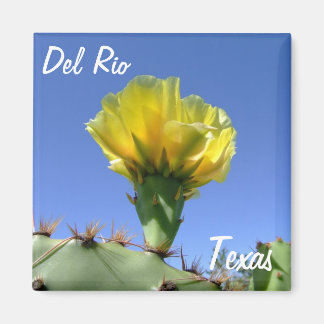 Del Rio Texas souvenirs gult cactus blomma. Magnet