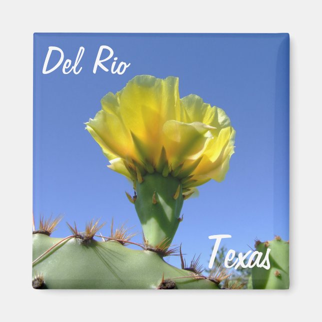 Del Rio Texas souvenirs gult cactus blomma. Magnet (Framsidan)