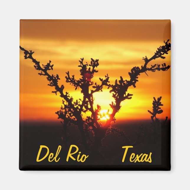 Del Rio Texas souvenirs ökenborstsolnedgång Magnet (Framsidan)