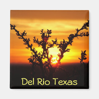 Del Rio Texas souvenirs ökenborstsolnedgång Magnet