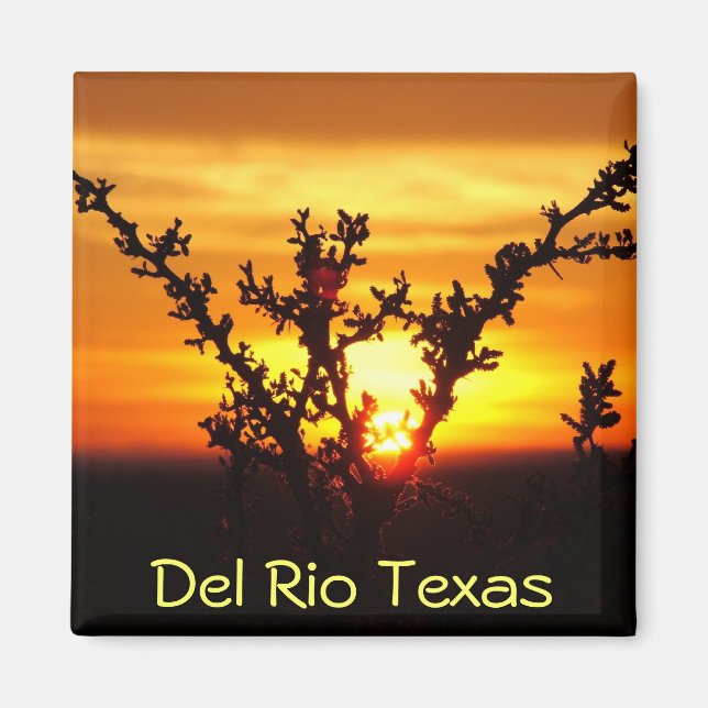 Del Rio Texas souvenirs ökenborstsolnedgång Magnet (Framsidan)