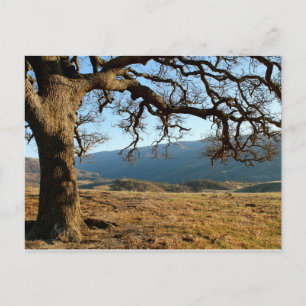 Del Valle Regional Park, Livermore, CA Vykort