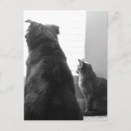 Dela en tyst stund vykort