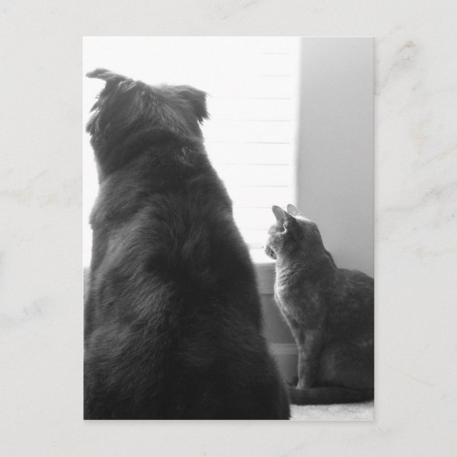 Dela en tyst stund vykort (Framsida)