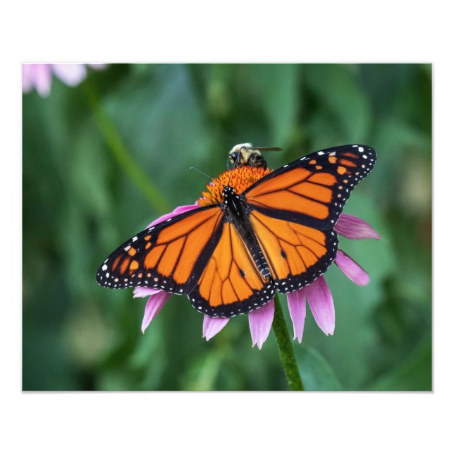 Dela mål fototryck (Framsidan)