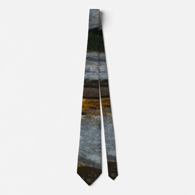 Dela Rail Abstrakt Neck Tie Slips (Framsida)