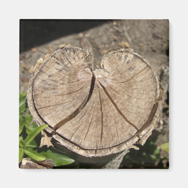 Dela ut hjärtklumpmagneter magnet (Framsidan)